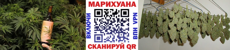 где продают наркотики  Могоча  Еда ТГК марихуана 