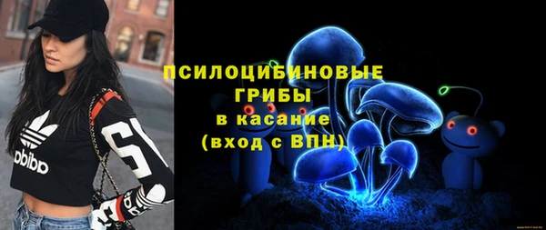 твердый Алексин