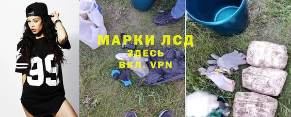 твердый Алексин
