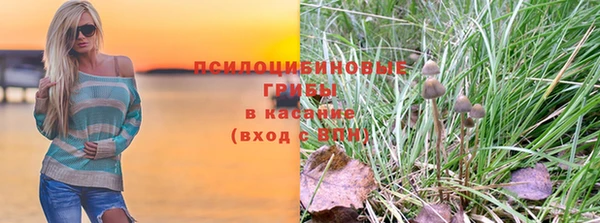 твердый Алексин