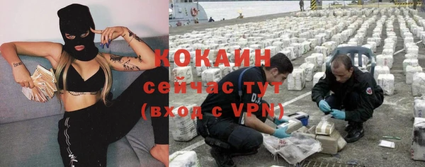 твердый Алексин