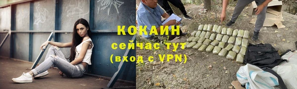 твердый Алексин