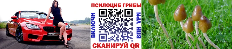 мега онион  Могоча  Псилоцибиновые грибы GOLDEN TEACHER 