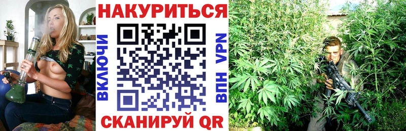 Конопля индика дарнет шоп ссылка на мегу зеркало Могоча